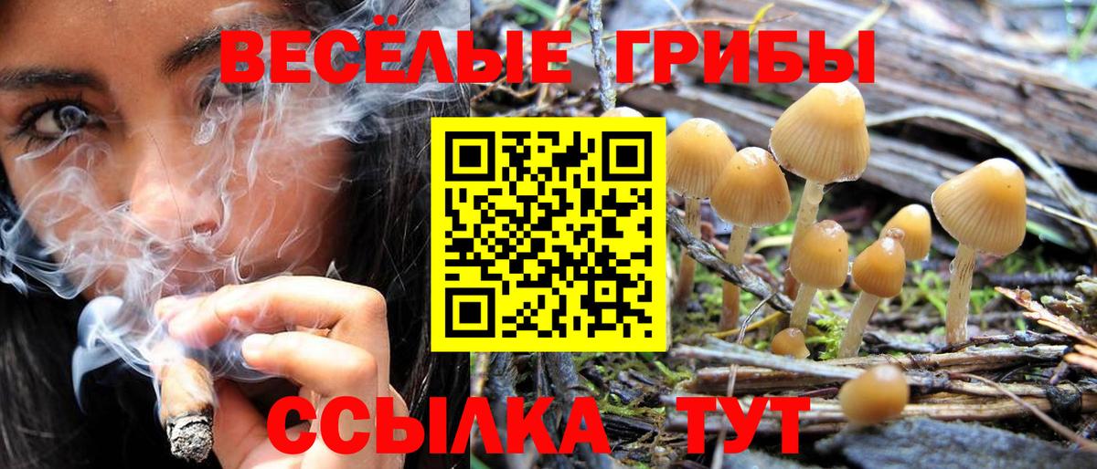 Галлюциногенные грибы мицелий Тайшет