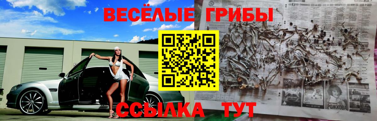 Тайшет  Псилоцибиновые грибы ЛСД  Вход с VPN 
